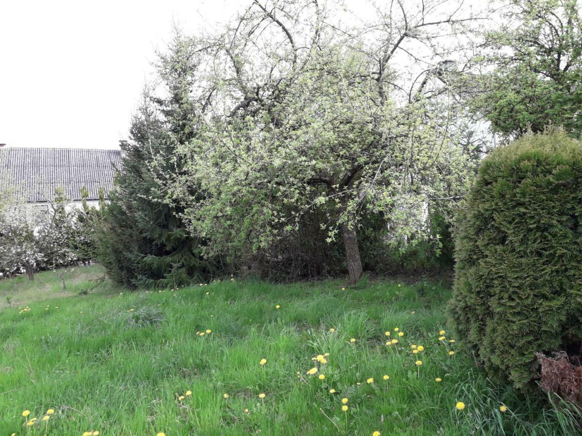 Vakantie Boerderij De Boerenzwaluw Karl ภายนอก รูปภาพ